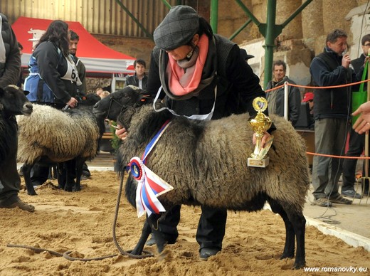 Paradise Russel, National Champion Senior Ram 2014