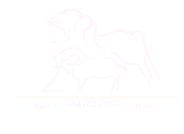 logo paradise