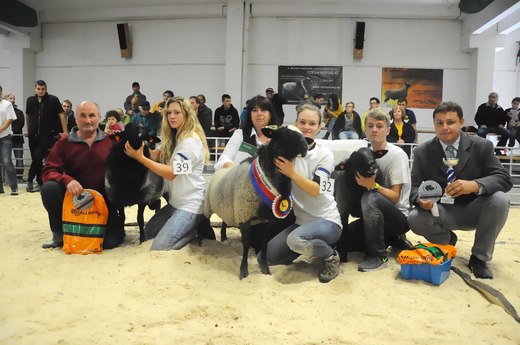 Paradise Drak, National Champion Junior Ram 2017