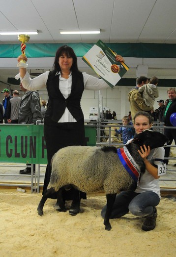 Paradise Drak, National Champion Junior Ram 2017