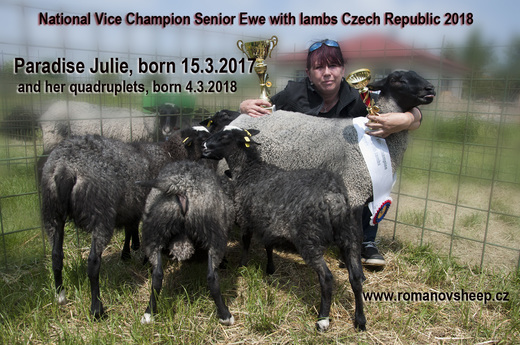 Paradise Julie, National Reserve Champion Ewe with Lambs 2018