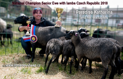 Paradise Katharina, National Champion Ewe with Lamb 2018