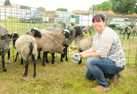 Show Bucice, National vicechampion Ewe with Lambs 2016