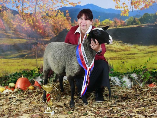 Paradise Kate, National Champion Junior Ewe 2019
