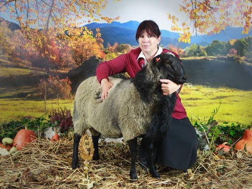 Paradise Spartacus, winner of rating young rams Czechia 2019
